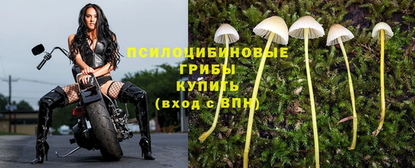 каннабис Абдулино