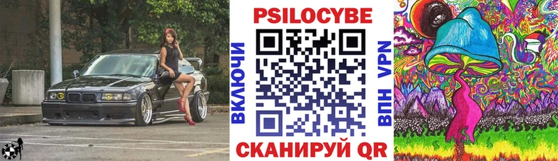 Псилоцибиновые грибы Psilocybe  цены   Избербаш 